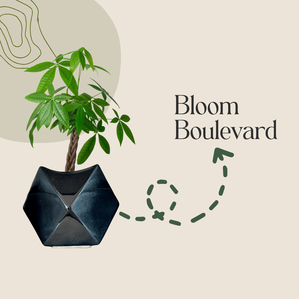 Bloom_Boulevard