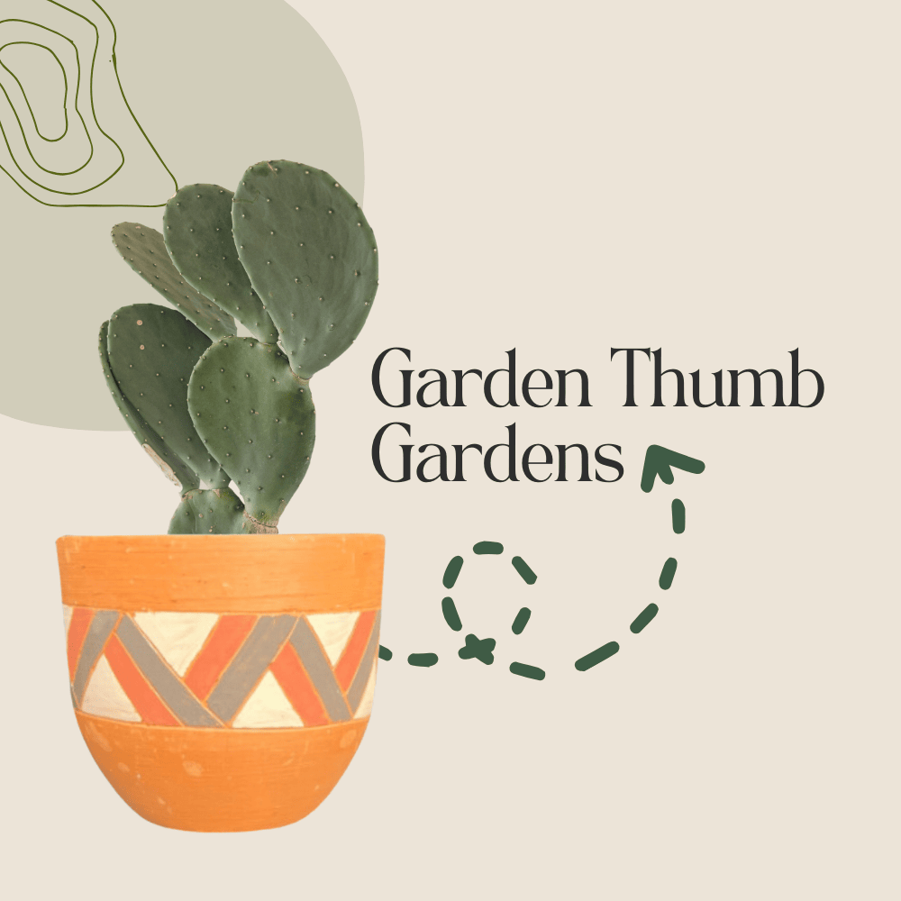 Garden Thumb Gradens