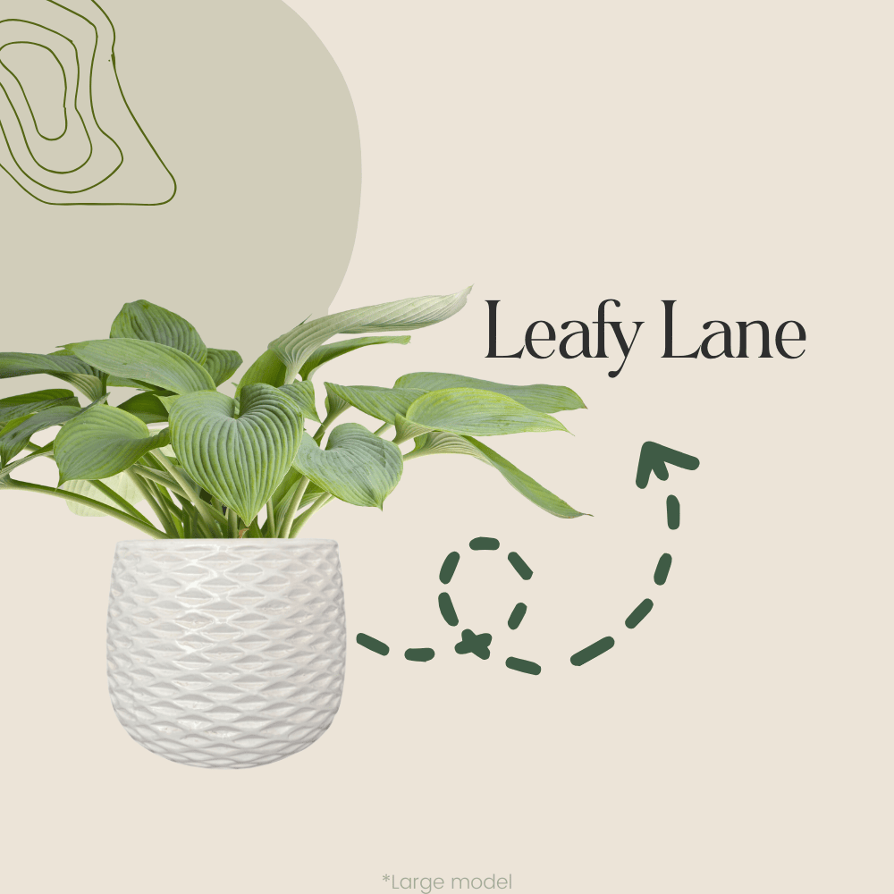 Leafy Lane Pot