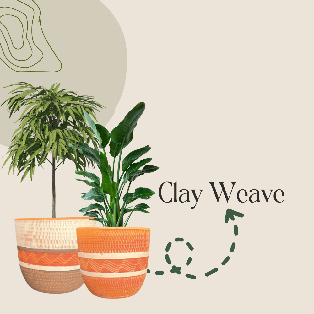Clay Weave