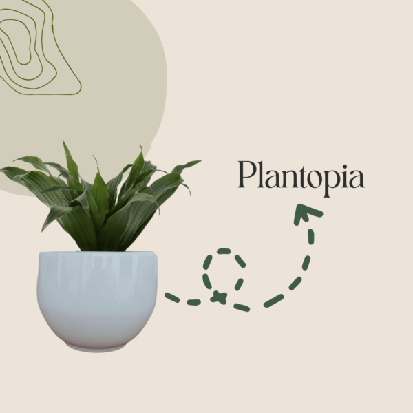 Plantopia Pot