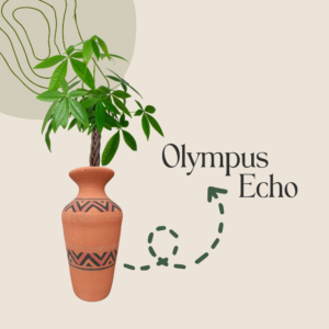 Olympus Echo