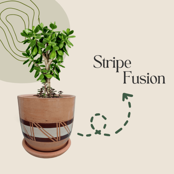 Eco-Friendly Terra Cotta Plant Pot