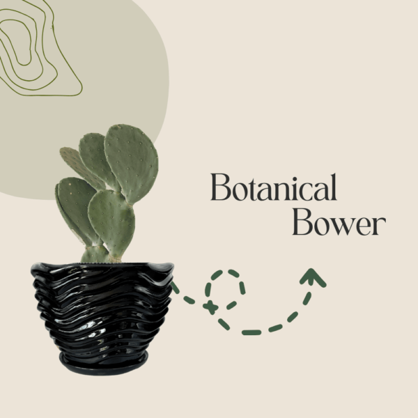 A cactus in a black, wavy-patterned pot with the text "Botanical Bower" beside it on a beige background with a green abstract design.