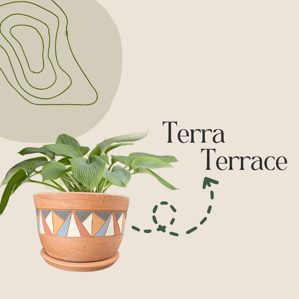 A terracotta pot with a geometric design band, holding a leafy green plant, with the text "Terra Terrace" beside it on a beige background with a green abstract design.