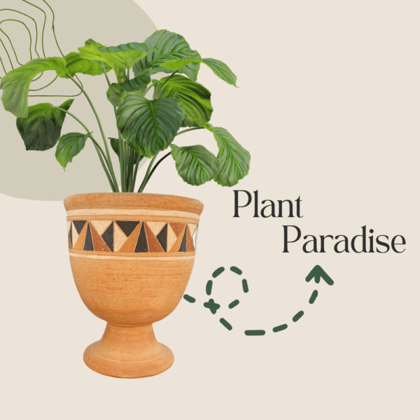 A tall terracotta pot with a geometric design band, holding a large leafy green plant, with the text "Plant Paradise" beside it on a beige background with a green abstract design.