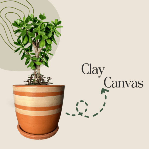 A striped terracotta pot with a small tree-like succulent plant, with the text "Clay Canvas" beside it on a beige background with a green abstract design.