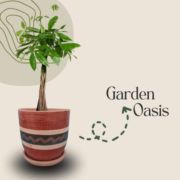 Main_Garden_Oasis