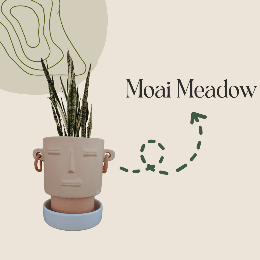 Moai Meadow